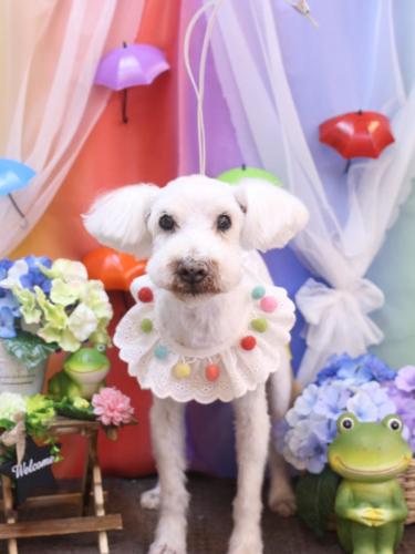 20230610まろんくん